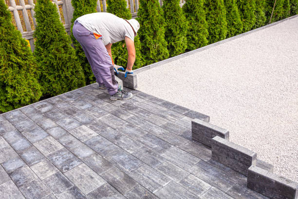 Best Driveway Paving Contractor  in Berkley, CO