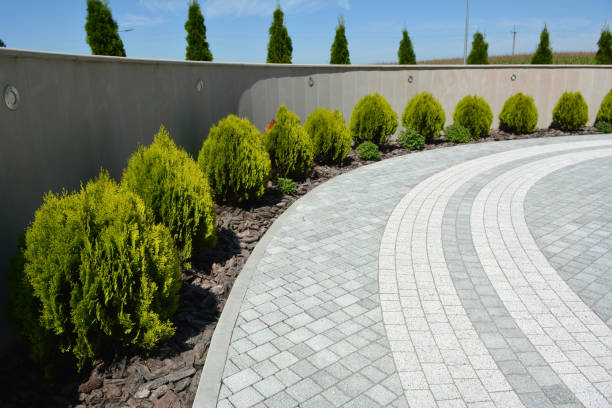 Best Driveway Pavers Near Me  in Berkley, CO